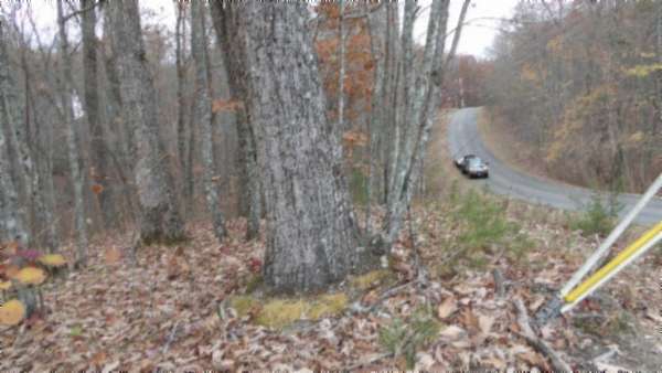 5 Acres of Residential Land for Sale in Monterey, Tennessee