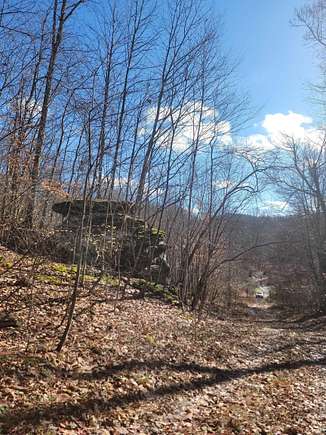 16.7 Acres of Land for Sale in Belington, West Virginia