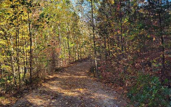 14 Acres of Land for Sale in Ellijay, Georgia