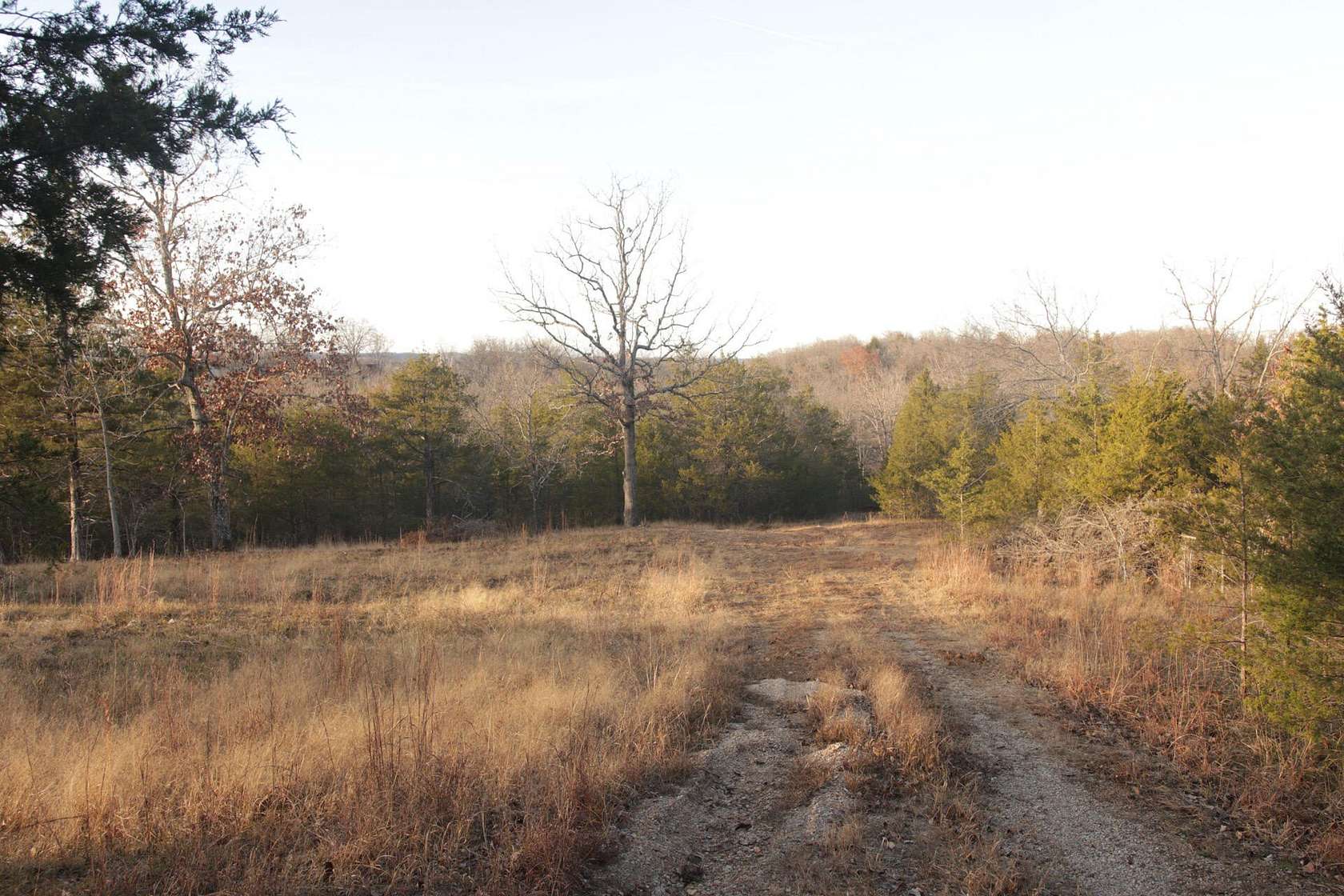 17.02 Acres of Recreational Land for Sale in Forsyth, Missouri