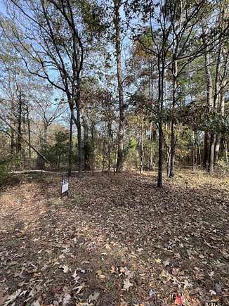 0.27 Acres of Residential Land for Sale in Scroggins, Texas