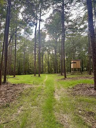 10.07 Acres of Recreational Land for Sale in Tallahassee, Florida