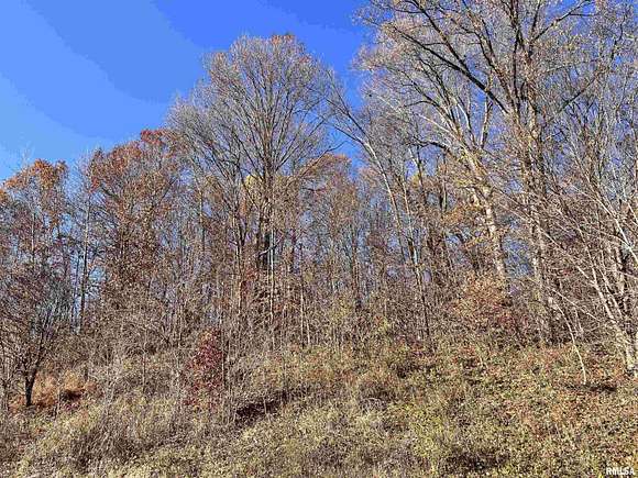 6 Acres of Land for Sale in Dongola, Illinois