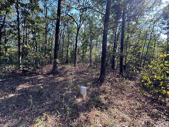 40 Acres of Recreational Land for Sale in Chester, Arkansas