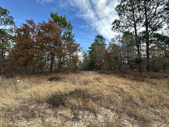 1.51 Acres of Residential Land for Sale in Blythe, Georgia