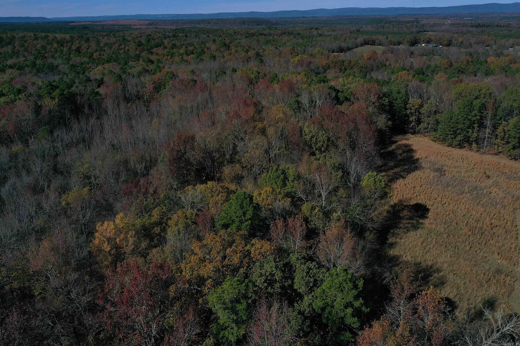 40 Acres of Land for Sale in Hatton, Arkansas