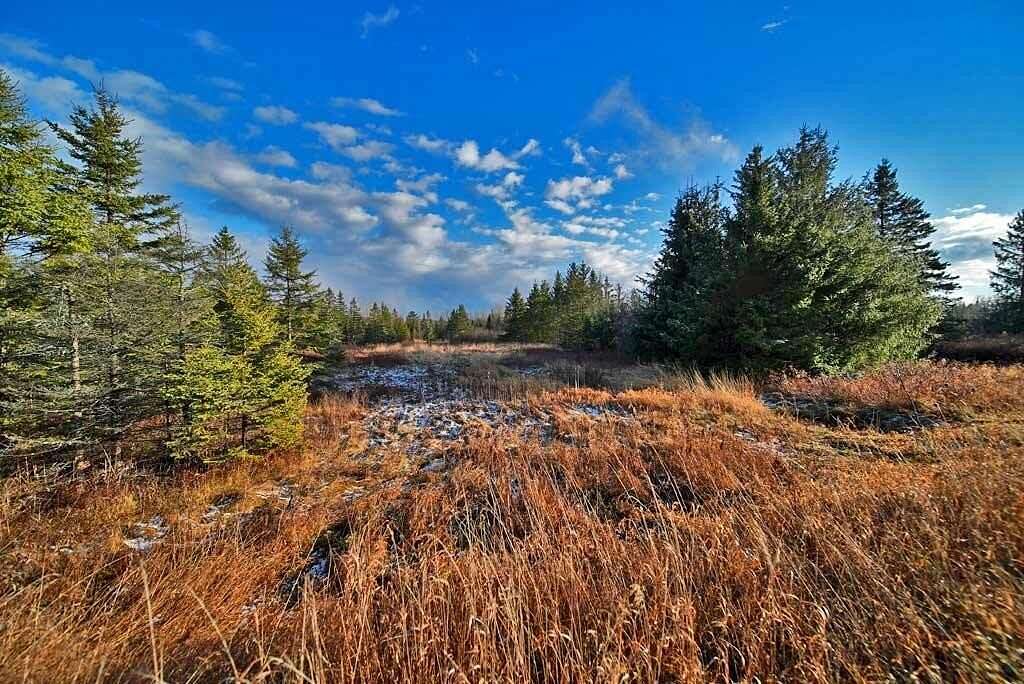 30 Acres of Land for Sale in Linneus, Maine