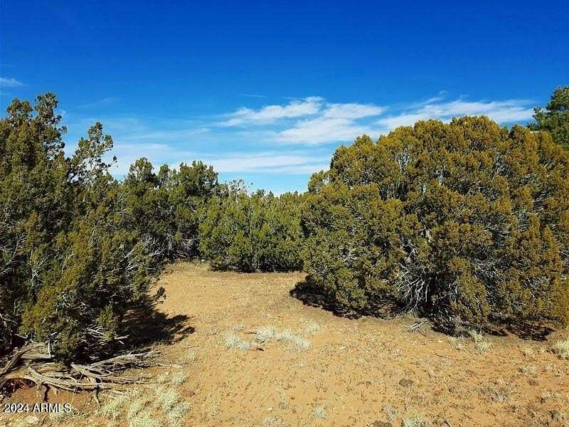 10.3 Acres of Land for Sale in Show Low, Arizona