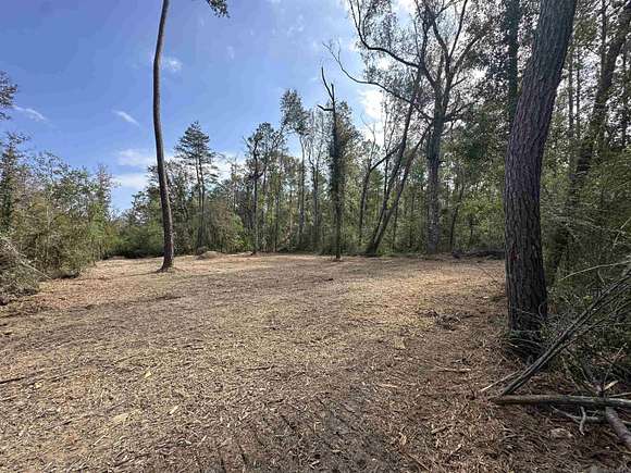 5.12 Acres of Residential Land for Sale in Springfield, Louisiana