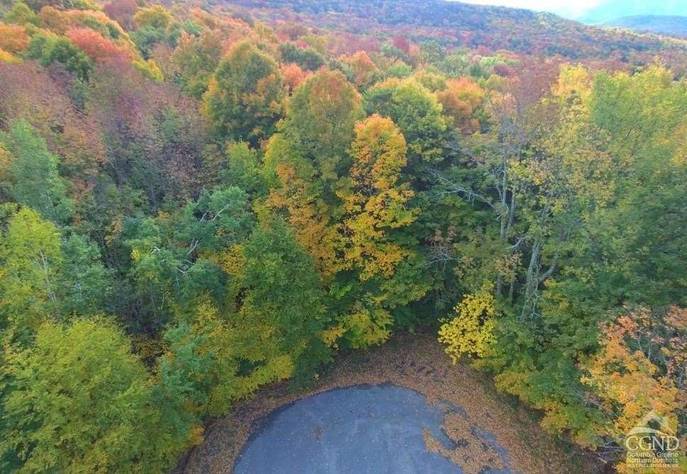 5.1 Acres of Land for Sale in Jewett, New York