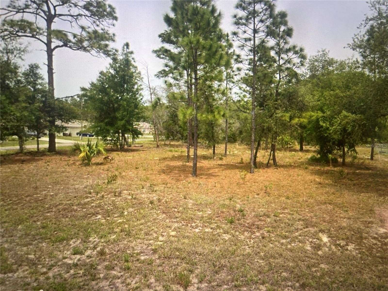 0.34 Acres of Residential Land for Sale in Citrus Springs, Florida