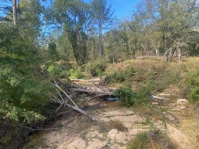 1.2 Acres of Land for Sale in Roxie, Mississippi