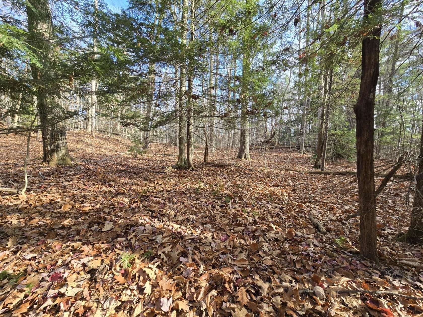 5 Acres of Residential Land for Sale in Acworth, New Hampshire