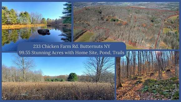 99.55 Acres of Land for Sale in Butternuts Town, New York