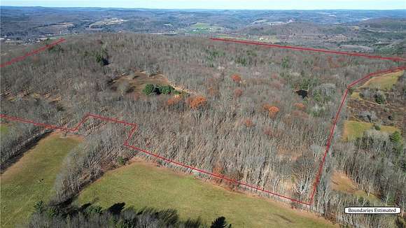 99.6 Acres of Land for Sale in Butternuts Town, New York