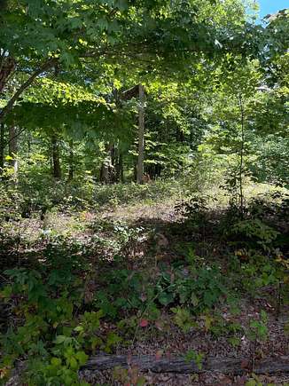 2.11 Acres of Residential Land for Sale in Dunlap, Tennessee