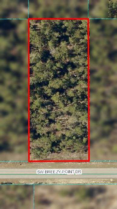 Residential Land for Sale in Dunnellon, Florida