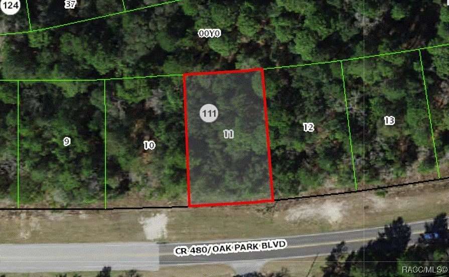 0.32 Acres of Residential Land for Sale in Homosassa, Florida