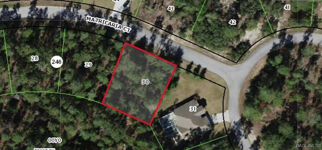 0.28 Acres of Residential Land for Sale in Homosassa, Florida