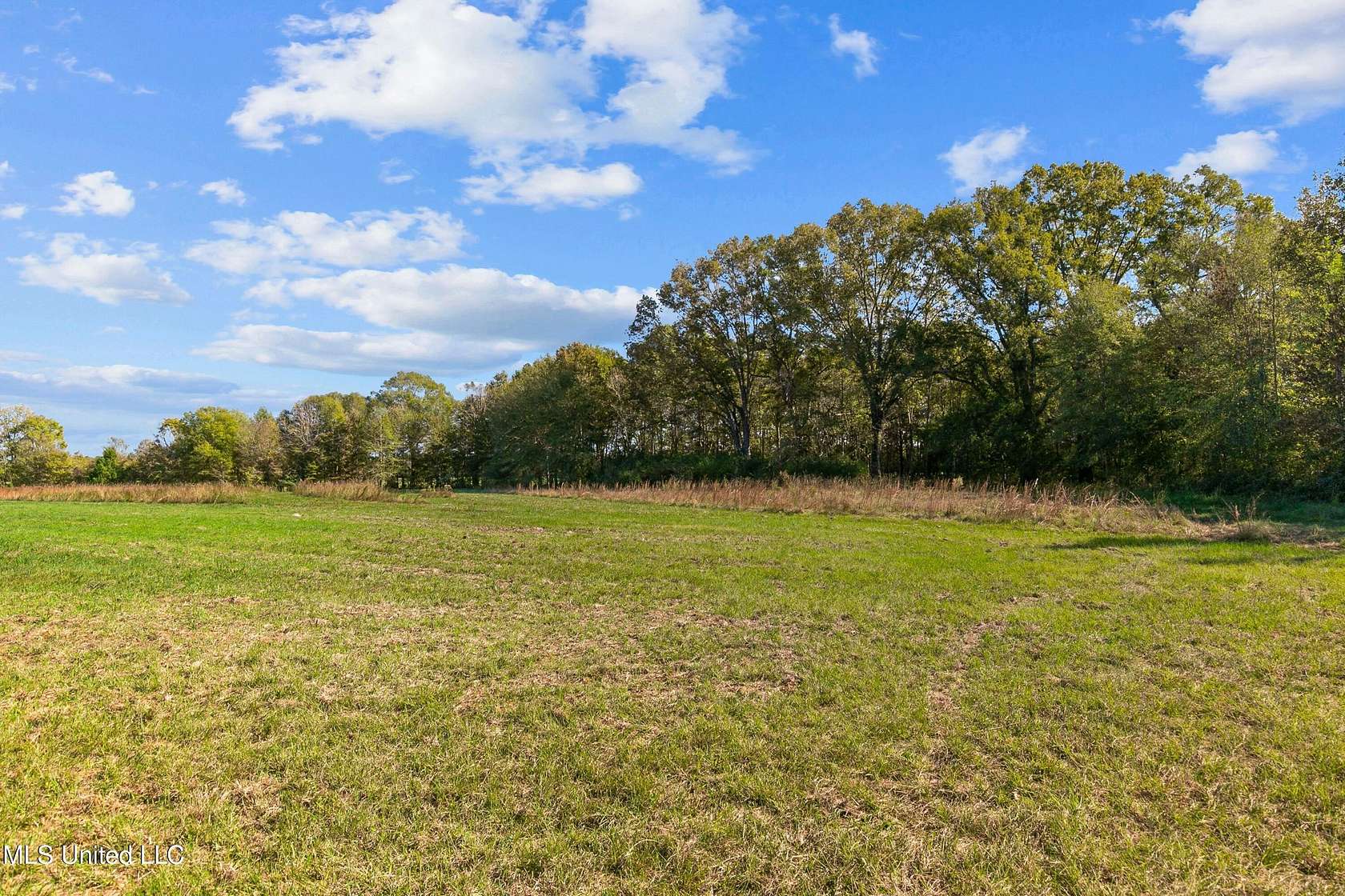 172 Acres of Land for Sale in Flora, Mississippi