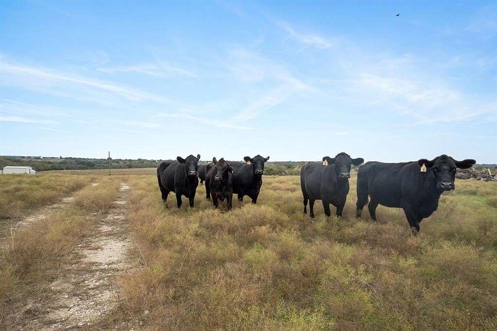 40.05 Acres of Land for Sale in Lipan, Texas