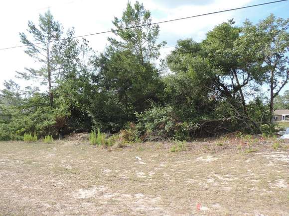 0.29 Acres of Residential Land for Sale in Ocala, Florida