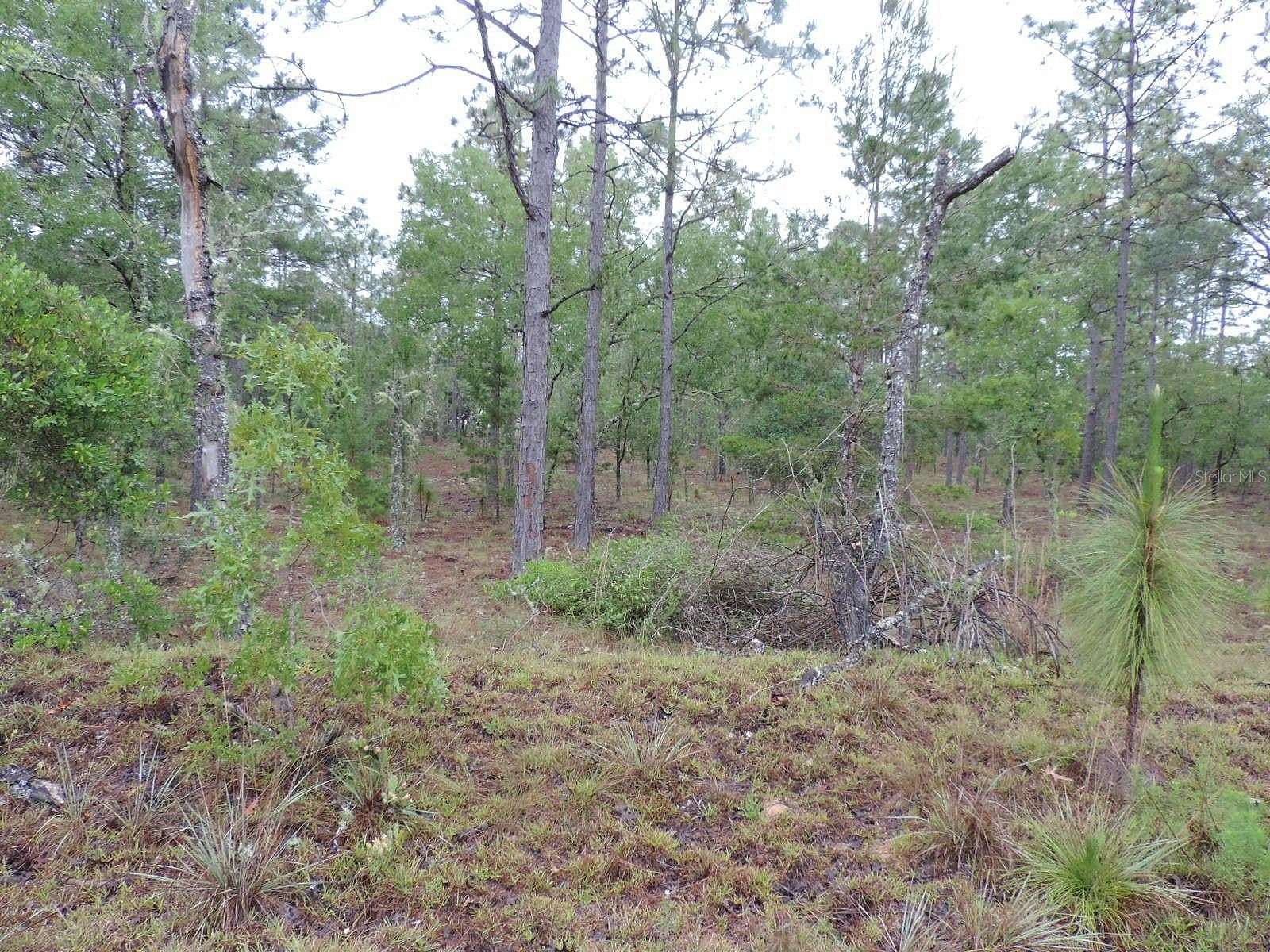 0.99 Acres of Residential Land for Sale in Dunnellon, Florida