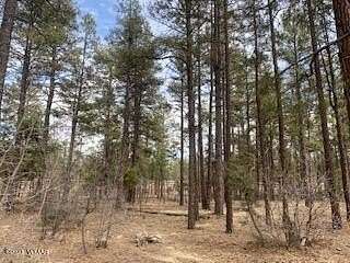 0.73 Acres of Residential Land for Sale in Show Low, Arizona