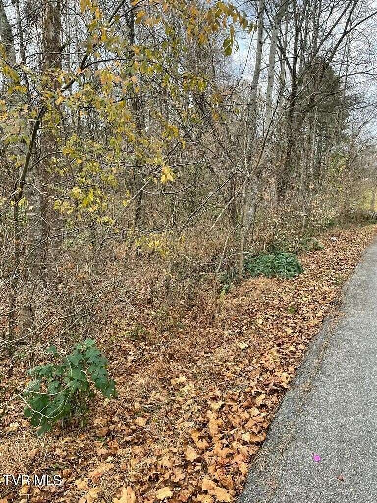 2.06 Acres of Residential Land for Sale in Bluff City, Tennessee