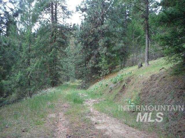 20 Acres of Land for Sale in Boise, Idaho