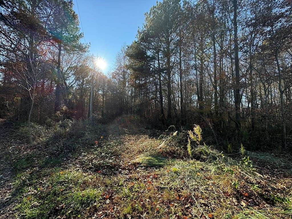 1 Acre of Land for Sale in Hallwood, Virginia