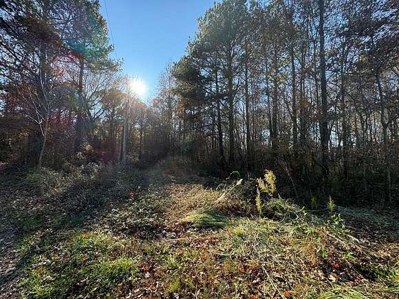 1 Acre of Land for Sale in Hallwood, Virginia