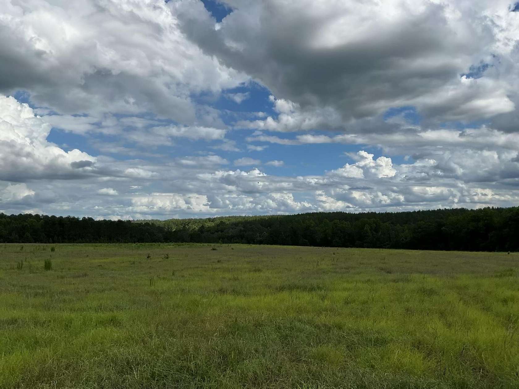 6.6 Acres of Agricultural Land for Sale in Aiken, South Carolina