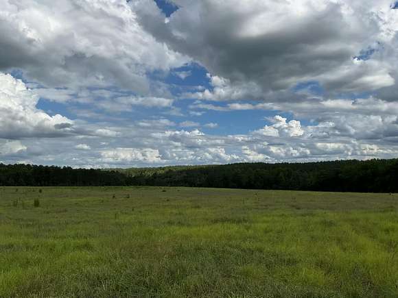 15.5 Acres of Agricultural Land for Sale in Aiken, South Carolina