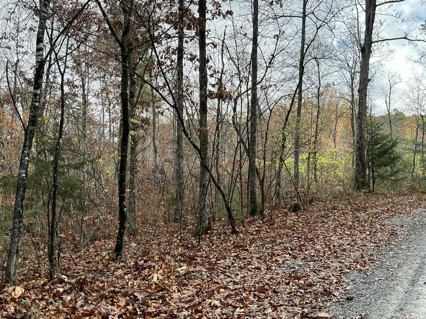 24 Acres of Recreational Land & Farm for Sale in Newport, Tennessee