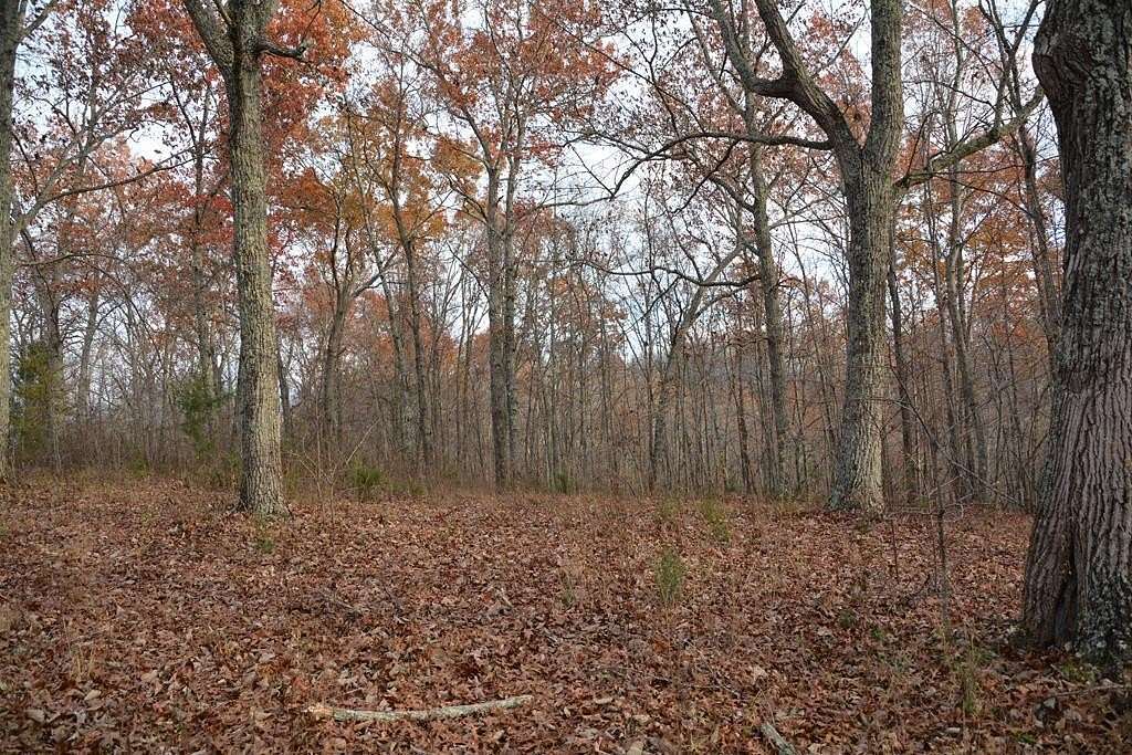 13.65 Acres of Recreational Land for Sale in Hilham, Tennessee