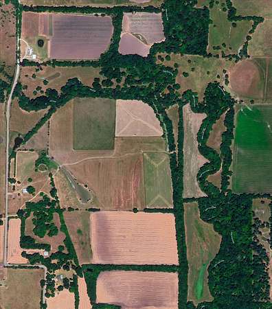 159 Acres of Land for Sale in Princeton, Texas