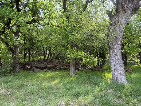0.23 Acres of Residential Land for Sale in Mineral Wells, Texas