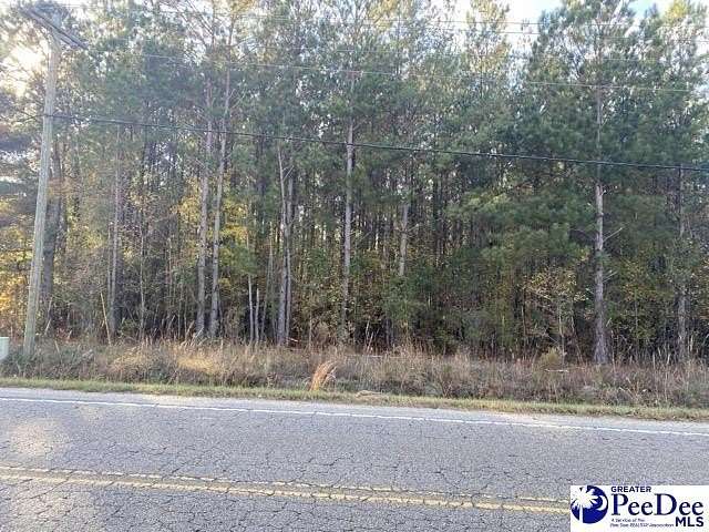 0.85 Acres of Residential Land for Sale in Effingham, South Carolina