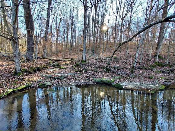 89.31 Acres of Agricultural Land for Sale in Columbia, Kentucky