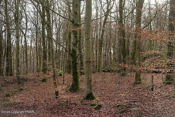 0.28 Acres of Land for Sale in Gouldsboro, Pennsylvania