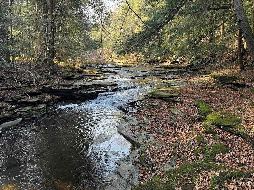 40.5 Acres of Recreational Land for Sale in Ripley, New York