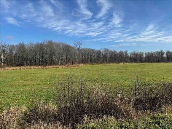 10 Acres of Land for Sale in Ripley, New York