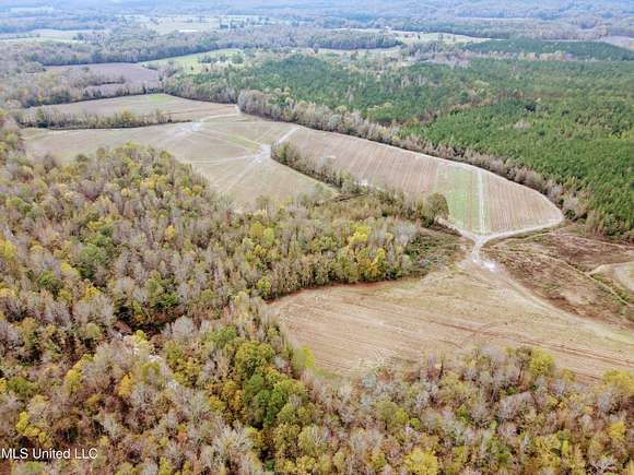 466 Acres of Recreational Land & Farm for Sale in Banner, Mississippi