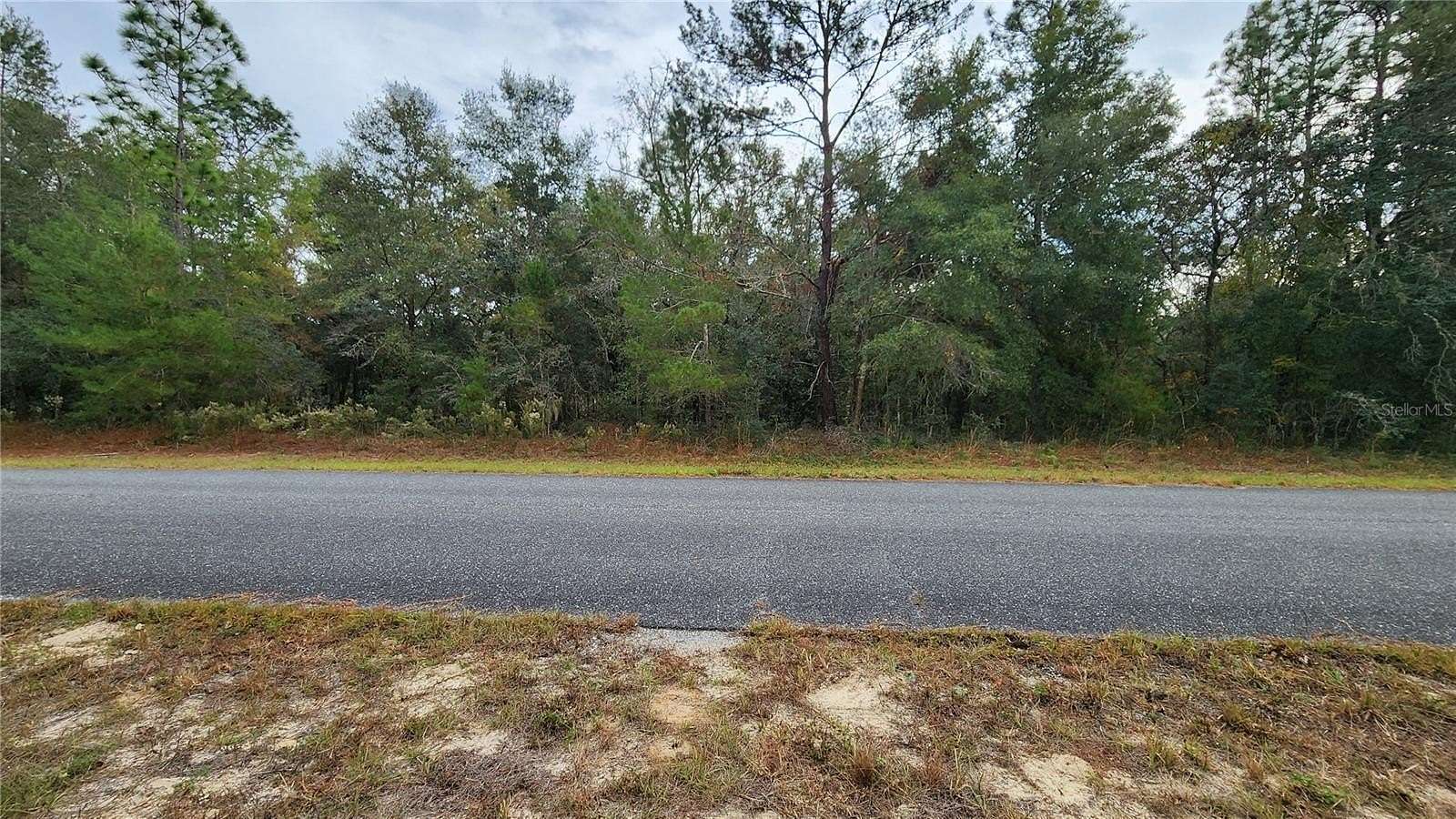 0.23 Acres of Residential Land for Sale in Dunnellon, Florida