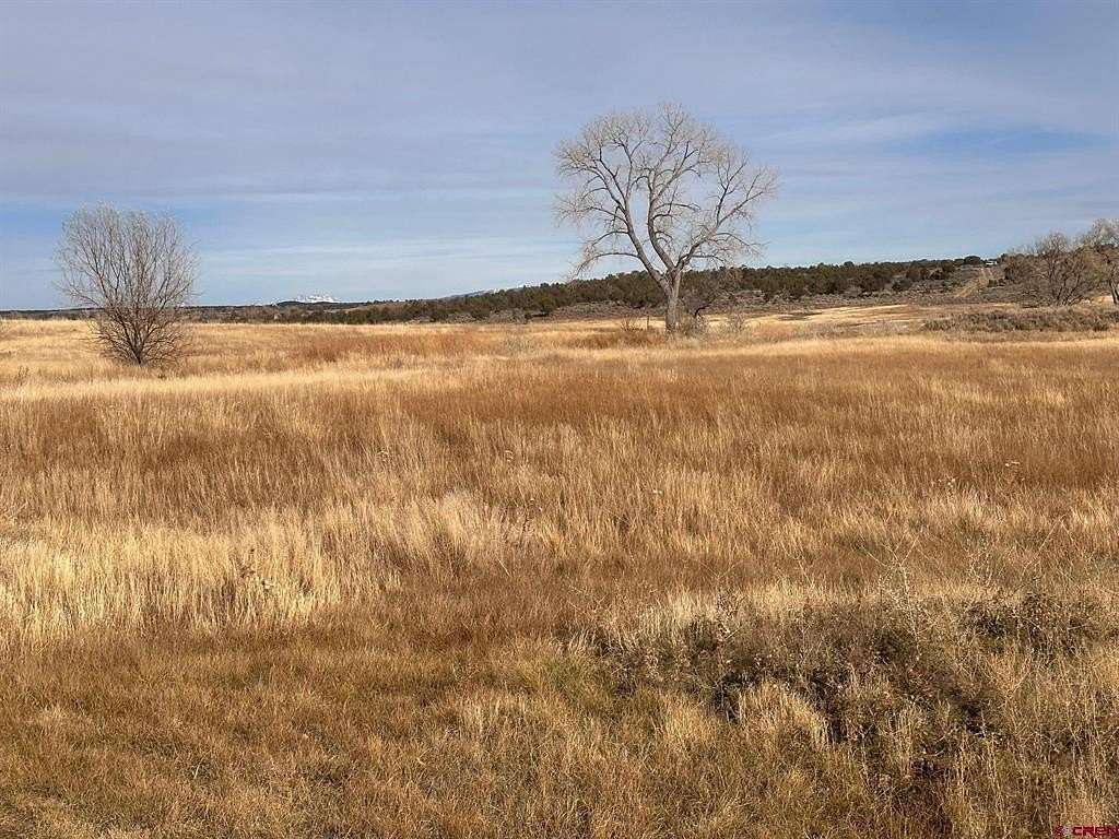 29 Acres of Agricultural Land for Sale in Lewis, Colorado