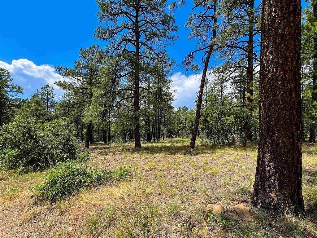 1.12 Acres of Residential Land for Sale in Pagosa Springs, Colorado