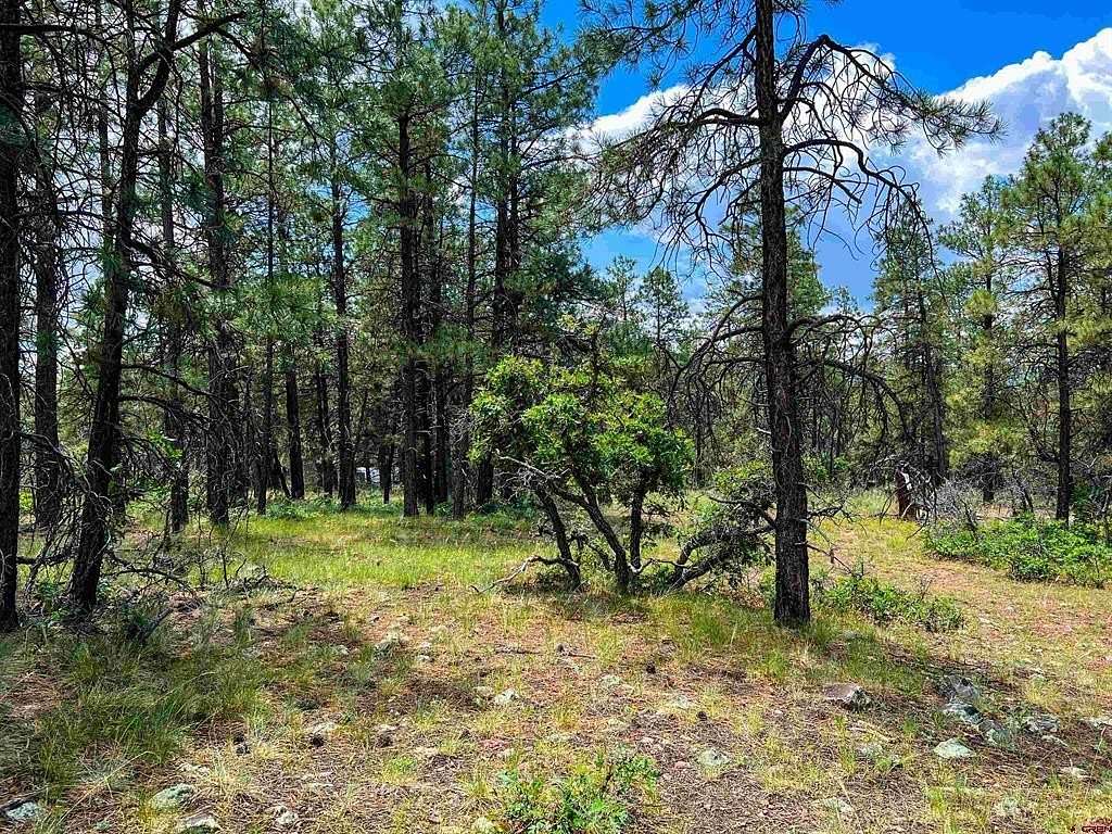 1.12 Acres of Land for Sale in Pagosa Springs, Colorado