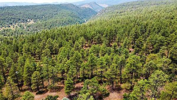 1.12 Acres of Land for Sale in Pagosa Springs, Colorado