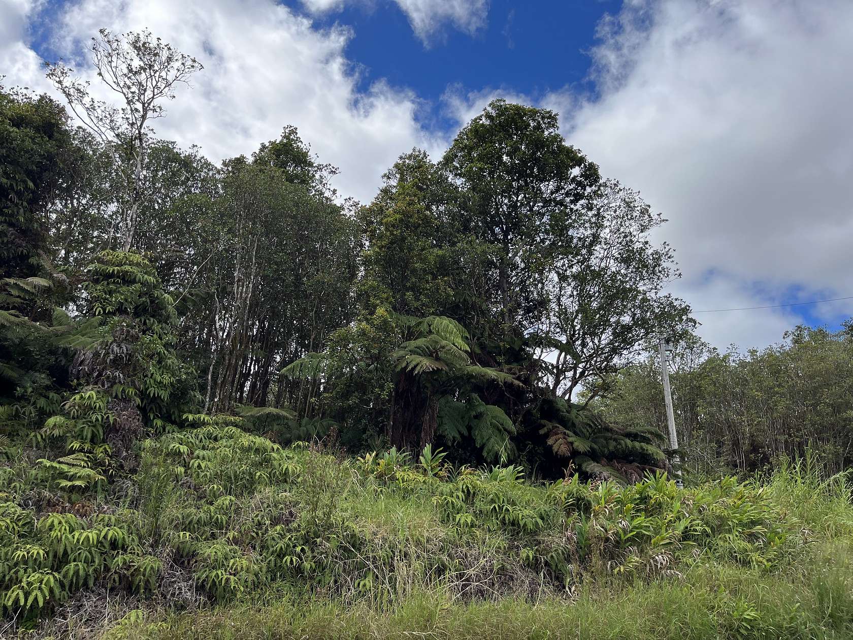 0.286 Acres of Land for Sale in Volcano, Hawaii